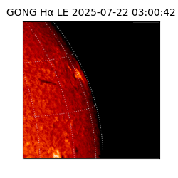gong - 2025-07-22T03:00:42