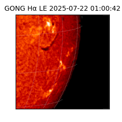 gong - 2025-07-22T01:00:42