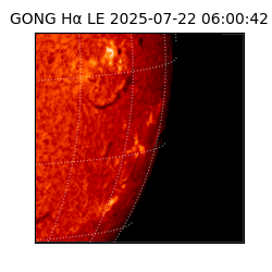 gong - 2025-07-22T06:00:42