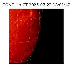 gong - 2025-07-22T18:01:42