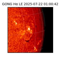 gong - 2025-07-22T01:00:42