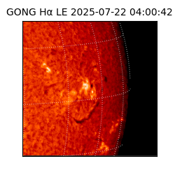 gong - 2025-07-22T04:00:42