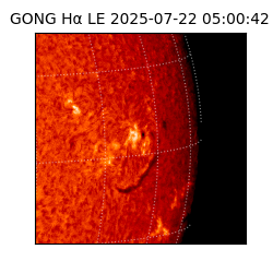 gong - 2025-07-22T05:00:42
