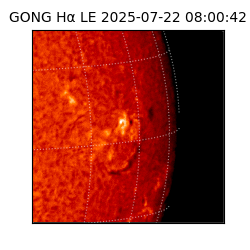 gong - 2025-07-22T08:00:42