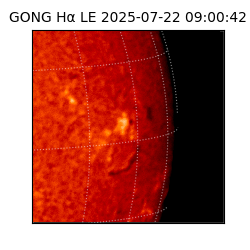 gong - 2025-07-22T09:00:42
