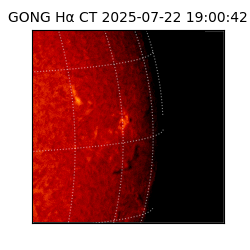 gong - 2025-07-22T19:00:42