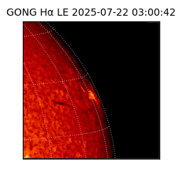 gong - 2025-07-22T03:00:42
