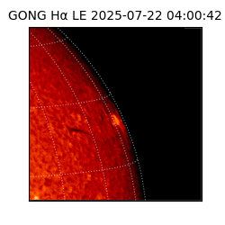 gong - 2025-07-22T04:00:42