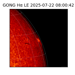gong - 2025-07-22T08:00:42