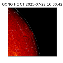 gong - 2025-07-22T16:00:42