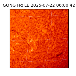 gong - 2025-07-22T06:00:42