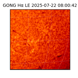 gong - 2025-07-22T08:00:42