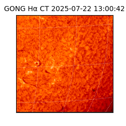 gong - 2025-07-22T13:00:42