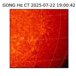 gong - 2025-07-22T19:00:42