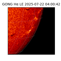 gong - 2025-07-22T04:00:42