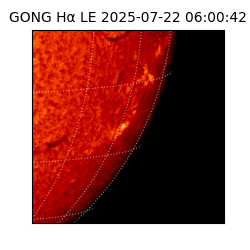 gong - 2025-07-22T06:00:42