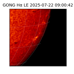 gong - 2025-07-22T09:00:42