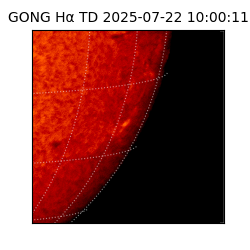 gong - 2025-07-22T10:00:11