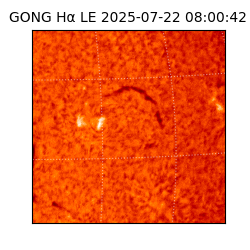 gong - 2025-07-22T08:00:42