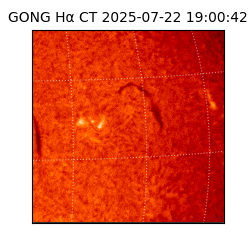 gong - 2025-07-22T19:00:42