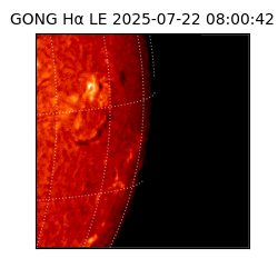 gong - 2025-07-22T08:00:42