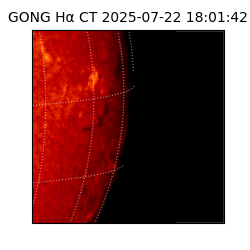gong - 2025-07-22T18:01:42