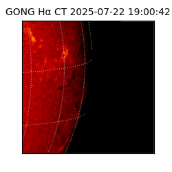gong - 2025-07-22T19:00:42
