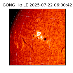 gong - 2025-07-22T06:00:42