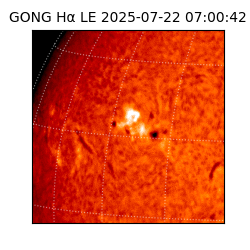 gong - 2025-07-22T07:00:42