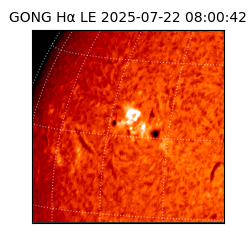 gong - 2025-07-22T08:00:42