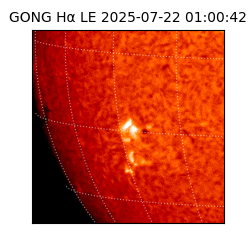 gong - 2025-07-22T01:00:42