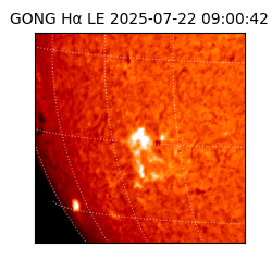 gong - 2025-07-22T09:00:42