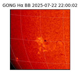 gong - 2025-07-22T22:00:02
