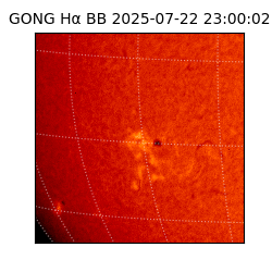 gong - 2025-07-22T23:00:02