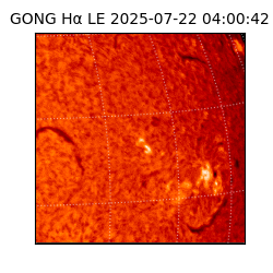gong - 2025-07-22T04:00:42