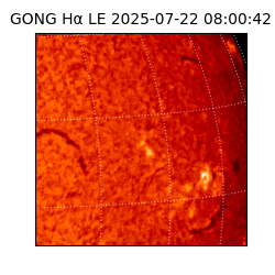gong - 2025-07-22T08:00:42