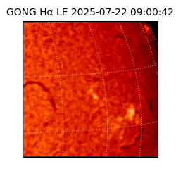 gong - 2025-07-22T09:00:42
