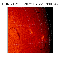 gong - 2025-07-22T19:00:42