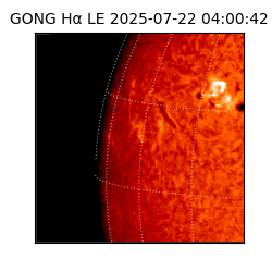 gong - 2025-07-22T04:00:42