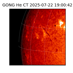 gong - 2025-07-22T19:00:42