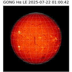 gong - 2025-07-22T01:00:42