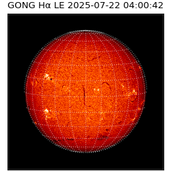 gong - 2025-07-22T04:00:42