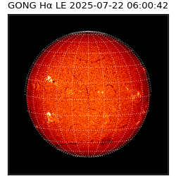 gong - 2025-07-22T06:00:42