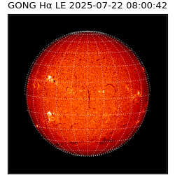 gong - 2025-07-22T08:00:42