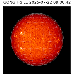 gong - 2025-07-22T09:00:42