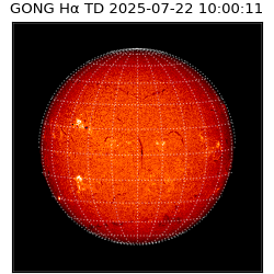 gong - 2025-07-22T10:00:11