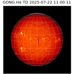 gong - 2025-07-22T11:00:11
