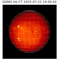 gong - 2025-07-22T19:00:42