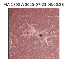 saia - 2025-07-23T08:00:28.710000