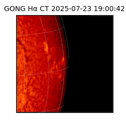 gong - 2025-07-23T19:00:42